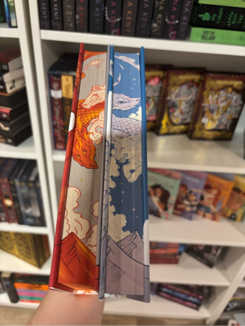 Fire in the Sky & A Scar in the Bone - Sophie Jordan Duo Fairyloot - Picture 3 of 4